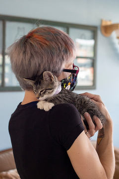 A kitten named Meatball rests on Alisha Reynolds' shoulder.